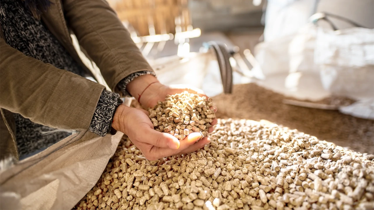 Hände halten Climate Premium Pellets